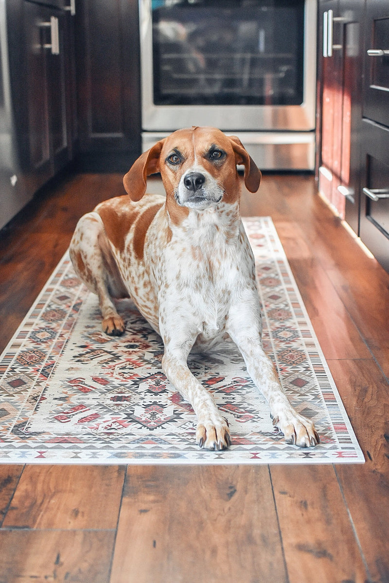 Pet mats for floors best sale