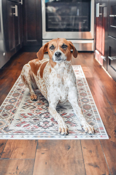 Pet-Friendly Floor Mats