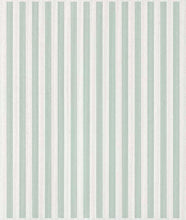 Load image into Gallery viewer, Green Stripes Easy Cloth
